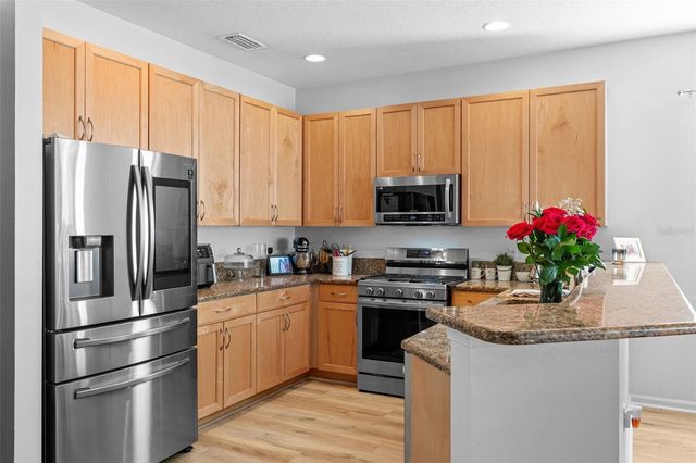 19419 RED SKY COURT, Land O Lakes, FL 34638
