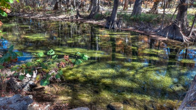 6454 N Us Highway 83, Leakey, TX 78873