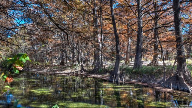 6454 N Us Highway 83, Leakey, TX 78873