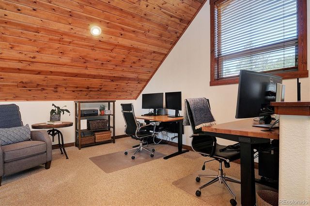 30220 Columbia Point, Buena Vista, CO 81211