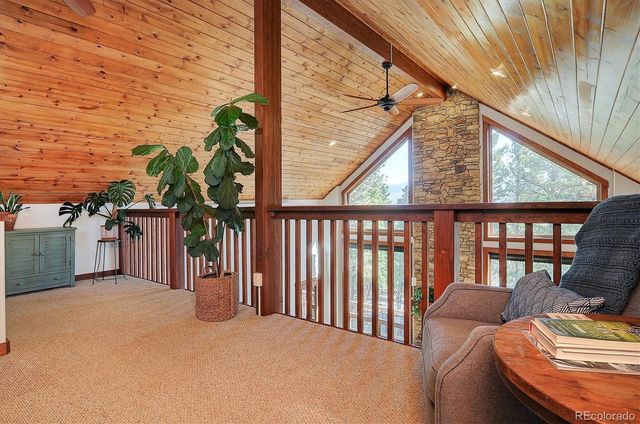 30220 Columbia Point, Buena Vista, CO 81211