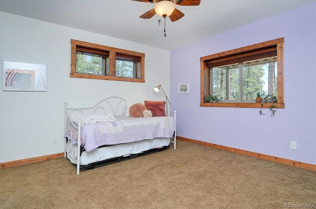 30220 Columbia Point, Buena Vista, CO 81211