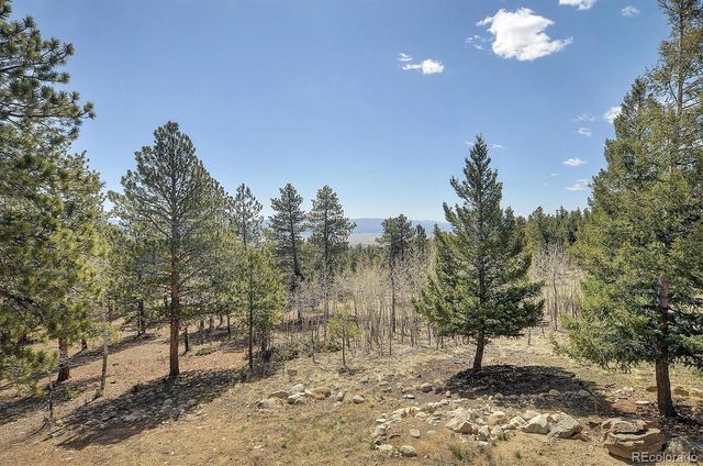 30220 Columbia Point, Buena Vista, CO 81211