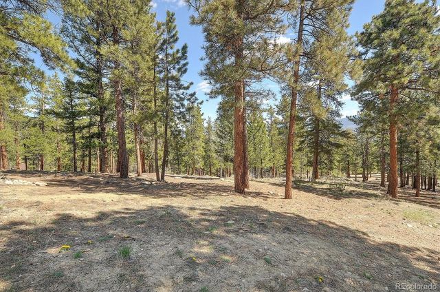 30220 Columbia Point, Buena Vista, CO 81211