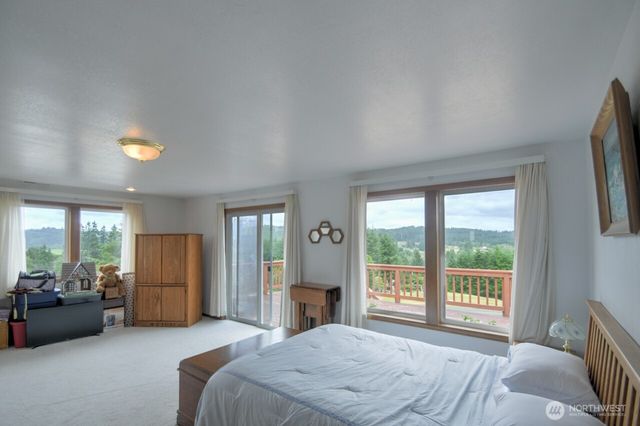 77 Rue Creek Road, Menlo, WA 98577