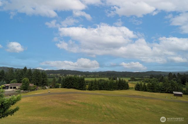 77 Rue Creek Road, Menlo, WA 98577
