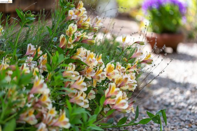 2802 Garber St, Berkeley, CA 94705