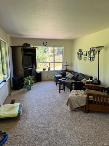 896 Sanitarium Rd, Deer Park, CA 94576