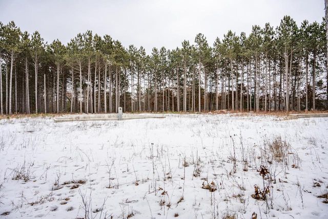 W4275 Mays Court, Necedah, WI 54646