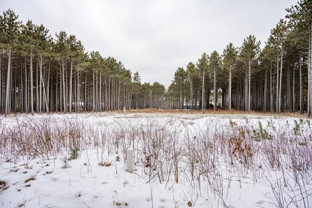 W4275 Mays Court, Necedah, WI 54646