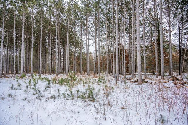 W4275 Mays Court, Necedah, WI 54646