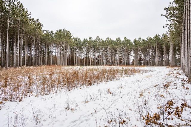 W4275 Mays Court, Necedah, WI 54646