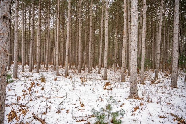 W4275 Mays Court, Necedah, WI 54646