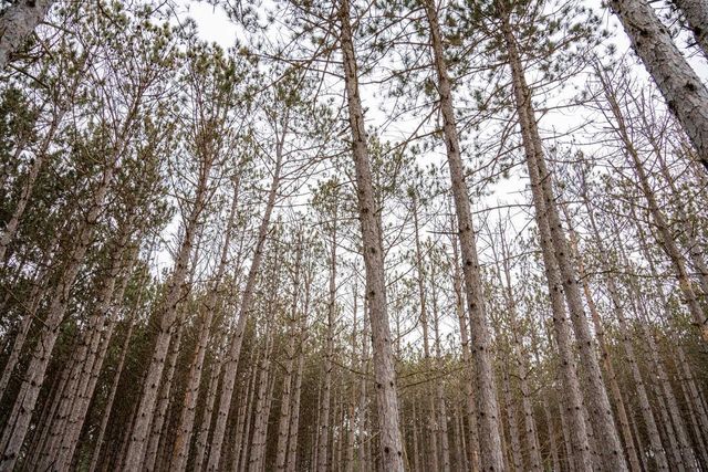 W4275 Mays Court, Necedah, WI 54646