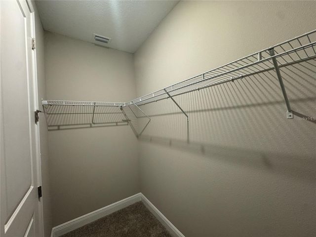 16848 HAMLIN VISTA ALLEY, Winter Garden, FL 34787