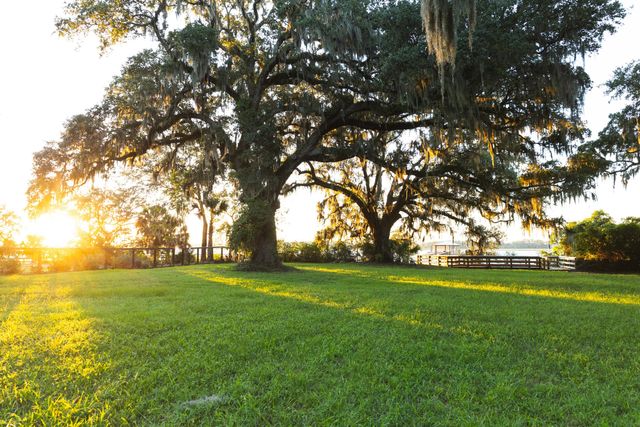 132 Etta Way, Daniel Island, SC 29492