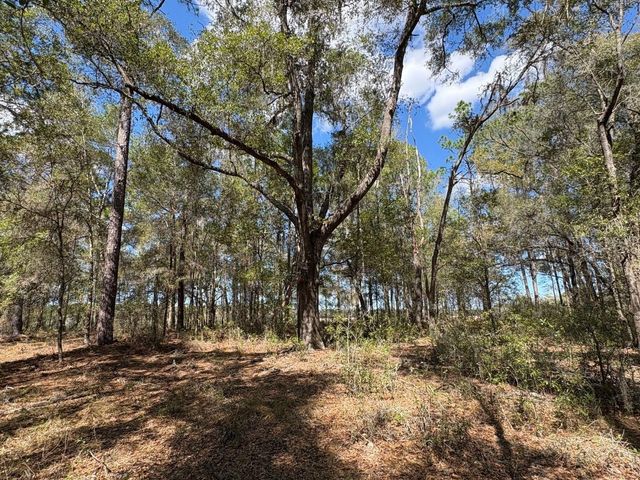 SW 69TH PLACE, Dunnellon, FL 34431