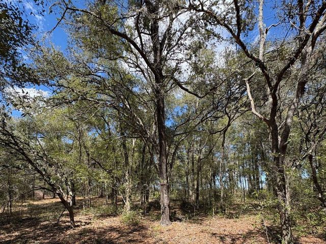 SW 69TH PLACE, Dunnellon, FL 34431