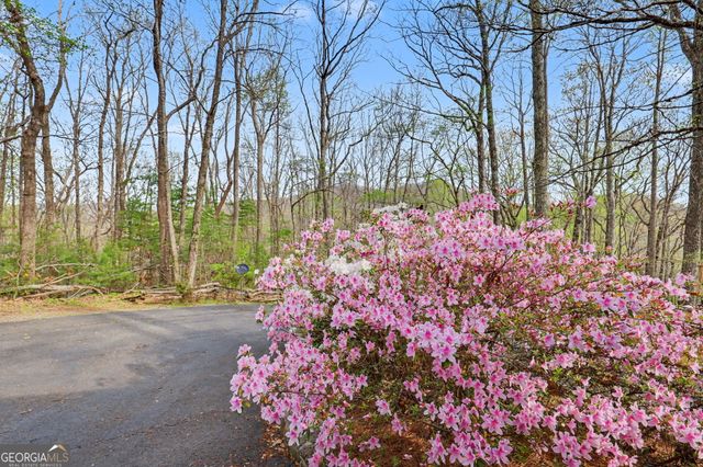 8528 Soapstone Creek Trail, Hiawassee, GA 30546