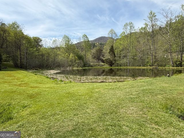 8528 Soapstone Creek Trail, Hiawassee, GA 30546