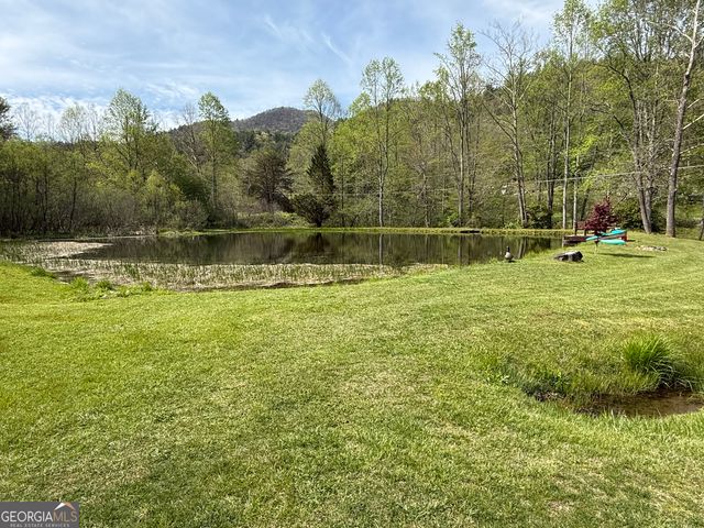 8528 Soapstone Creek Trail, Hiawassee, GA 30546
