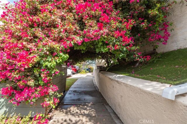 723 Isabel, Los Angeles, CA 90065