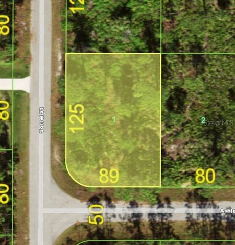 12070 ASHLEY AVENUE, Port Charlotte, FL 33981