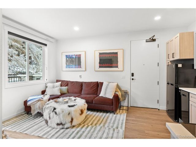 2121 Hummingbird Way 3-204, Georgetown, CO 80444