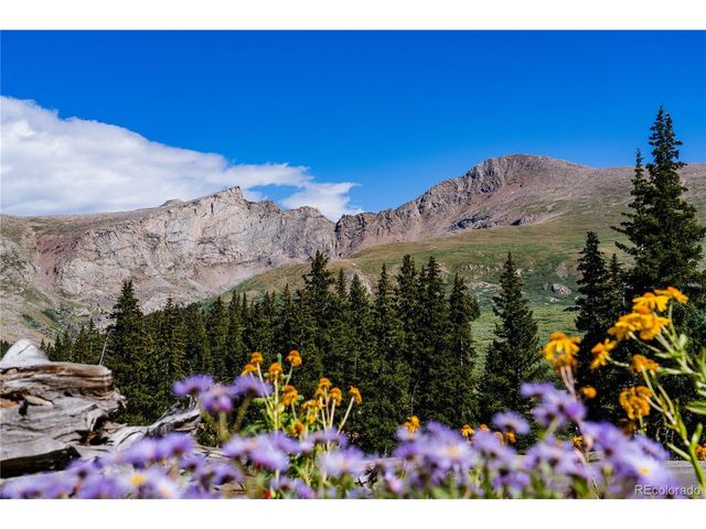2121 Hummingbird Way 3-204, Georgetown, CO 80444