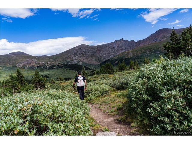 2121 Hummingbird Way 3-204, Georgetown, CO 80444