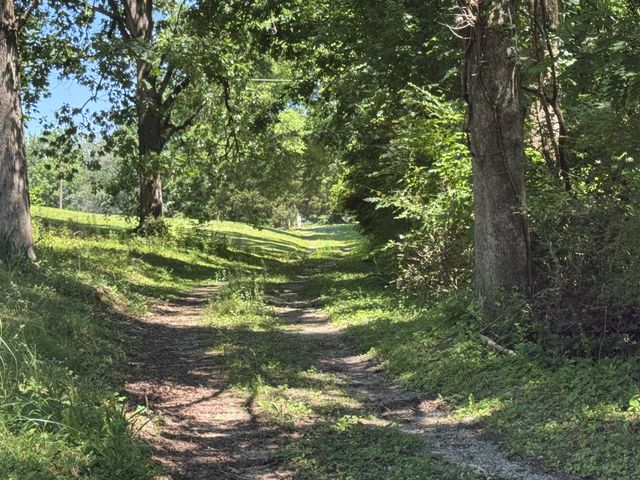 750 Belmont Church Rd, Whitwell, TN 37397