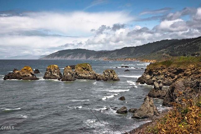 23901 Pacific Heights Drive, Westport, CA 95488