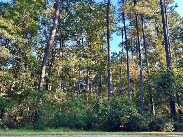 12 Barnaby Blf, Seabrook, SC 29940