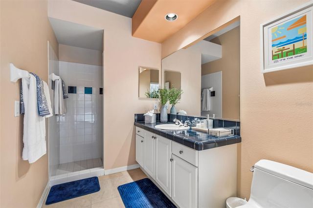 19108 CENTRE ROSE BOULEVARD, Lutz, FL 33558