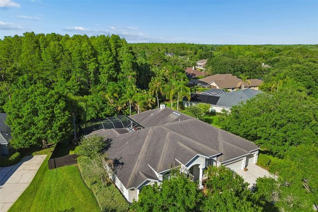 19108 CENTRE ROSE BOULEVARD, Lutz, FL 33558