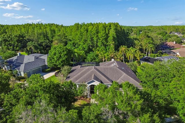 19108 CENTRE ROSE BOULEVARD, Lutz, FL 33558