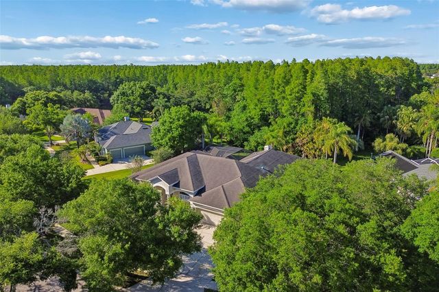 19108 CENTRE ROSE BOULEVARD, Lutz, FL 33558