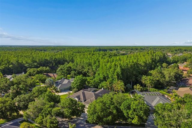 19108 CENTRE ROSE BOULEVARD, Lutz, FL 33558