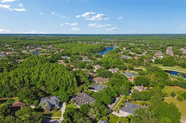 19108 CENTRE ROSE BOULEVARD, Lutz, FL 33558