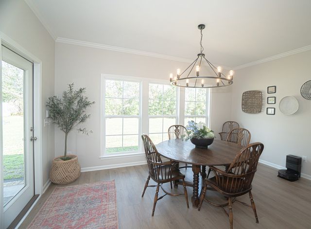 214 Magnolia Place, Newton, AL 36352