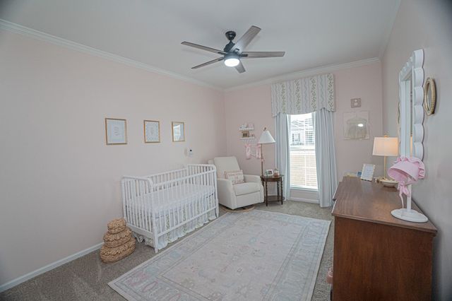 214 Magnolia Place, Newton, AL 36352