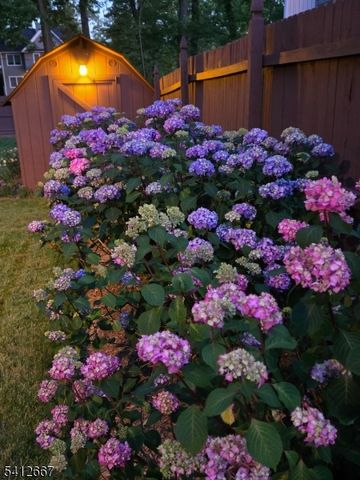 19 Berkeley Ter, Livingston Twp., NJ 07039