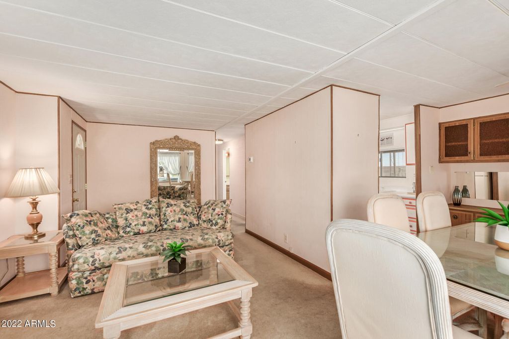 5209 E Mills Court, Mesa, AZ 85215 — photo 5