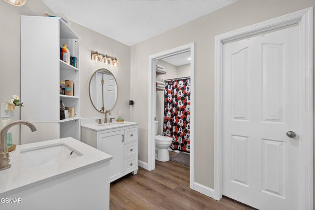 313 Sonnett Court, Kingsport, TN 37664