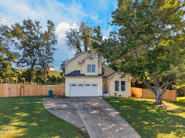 313 Sonnett Court, Kingsport, TN 37664