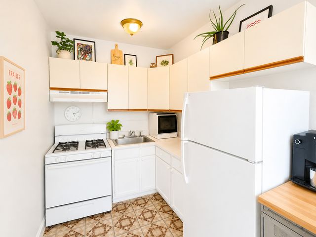 1635 W Morse Avenue 308, Chicago, IL 60626