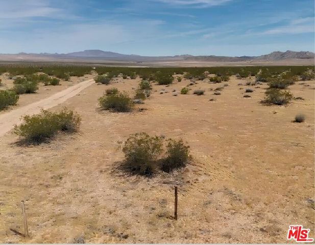 0 Datura Avenue, Johnson Valley, CA 92285