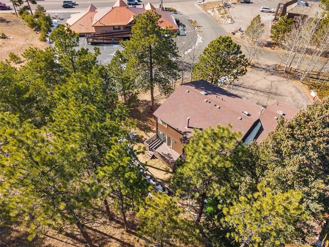 590 Manor Court D, Woodland Park, CO 80863