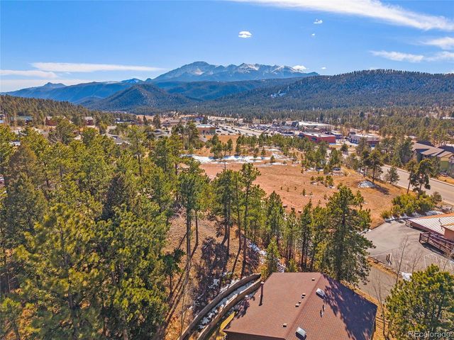 590 Manor Court D, Woodland Park, CO 80863