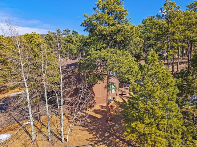 590 Manor Court D, Woodland Park, CO 80863